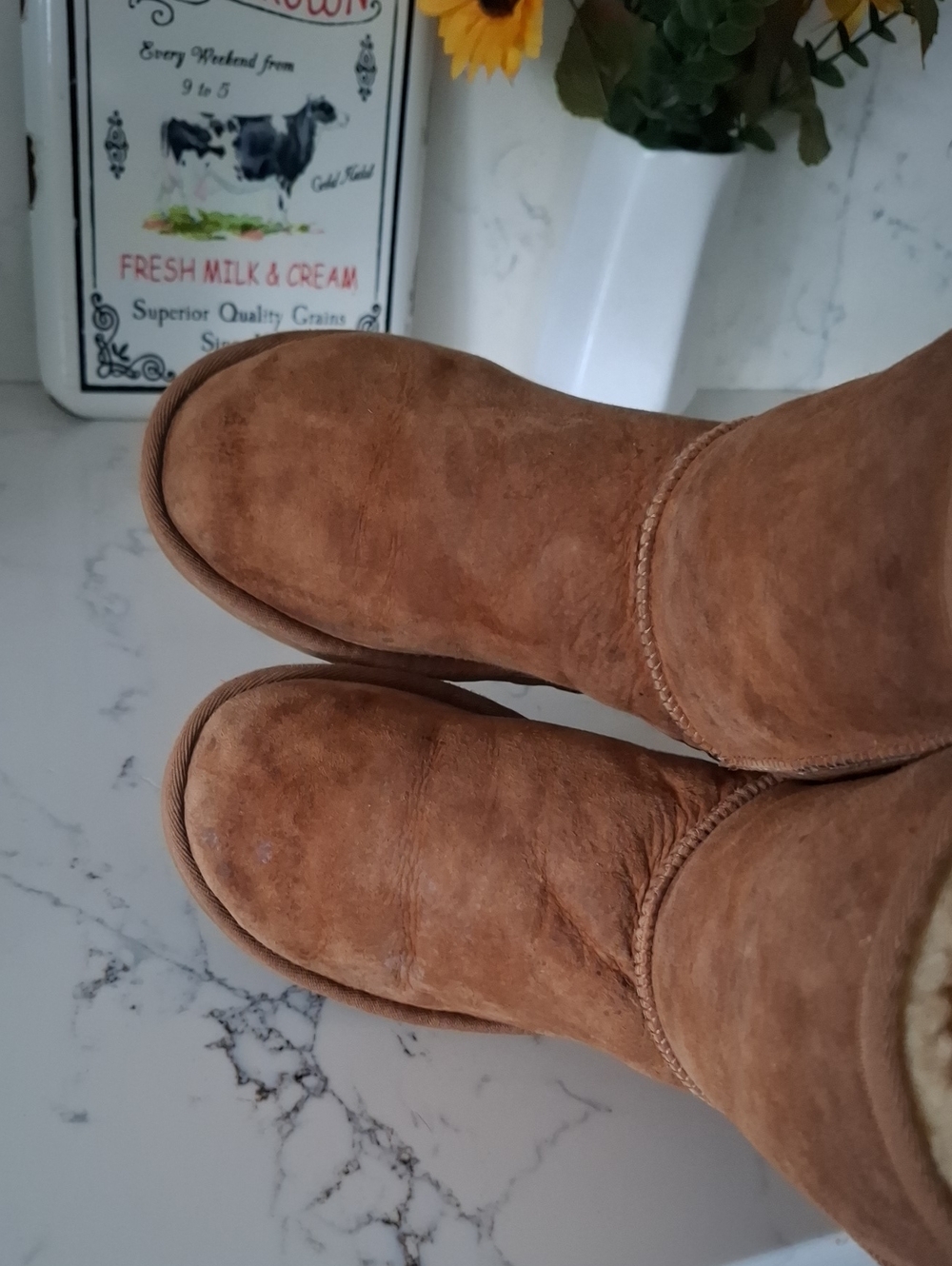 Ugg Women’s Chestnut Suede Shearling Lined Winter Boots - Picture 4 of 8